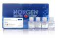 18100 Urine DNA Isolation Kit ( 50 rxn )
